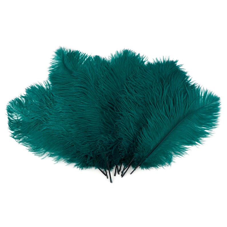 Ostrich Feathers 13-16 TEAL For Feather Centerpieces, Party Decor, Millinery, Carnival, Fashion & Costume ZUCKER® image 3