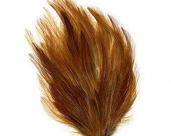Bulk Natural Hackle Feather Pads 1DZ for DIY Feather Fascinator, Millinery, Costume and Carnival Design  ZUCKER®