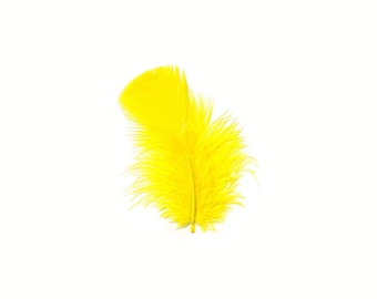 Turkey Feathers, Yellow Loose Turkey Plumage Feathers, Short T-Base Body Feathers for Craft and Fly Fishing Supply ZUCKER®
