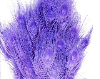 Peacock Feathers, 5 to 100 Pieces, Fluorescent Lavender Purple Bleached Dyed Peacock Feathers 8 to 15 inches, Lilac Peacock Feathers ZUCKER®