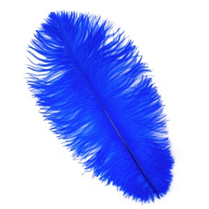 Ostrich Feathers 13-16 ROYAL BLUE For Feather Centerpieces, Party Decor, Millinery, Carnival, Fashion & Costume ZUCKER® image 4