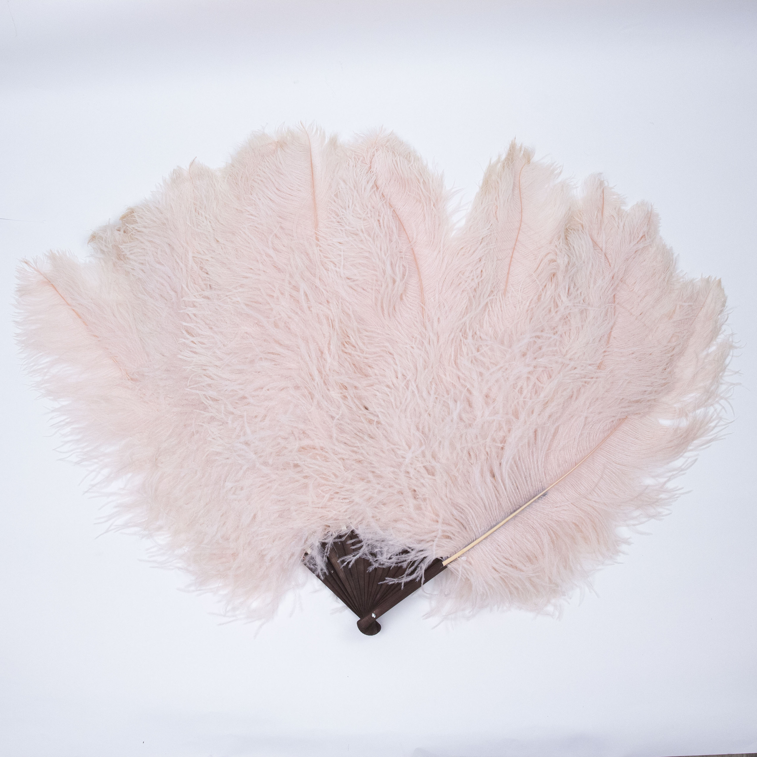 Ostrich Feather Fans  Dyed Costume Feathers