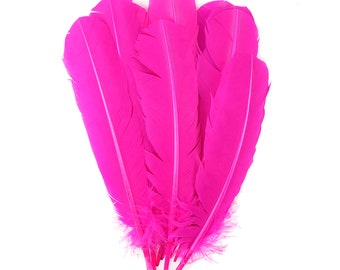 Shocking Pink Dyed Turkey Quill Feathers, Bulk Turkey Quills 8-12” for Cosplay, Carnival, Costume, Millinery, Arts & Crafts ZUCKER®