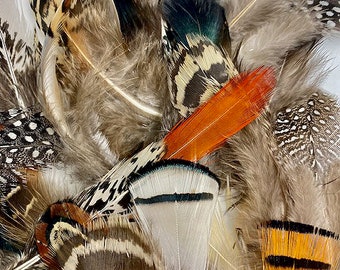 Natural Feather Assortment, Pheasant Feathers, Guinea Feathers, Partridge Feathers - 40 Pieces Short Small Natural Plumage ZUCKER®