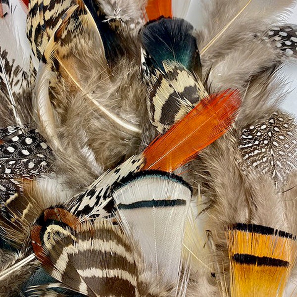 Natural Feather Assortment, Pheasant Feathers, Guinea Feathers, Partridge Feathers - 40 Pieces Short Small Natural Plumage ZUCKER®