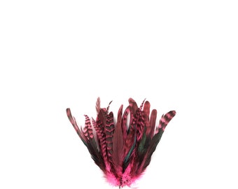 PINK Dyed Rooster Feathers, 8-10" Barred Rooster Feathers, 25pcs Rooster Coque Tails For Arts & Crafts,DIY, Millinery,Costume Design ZUCKER®