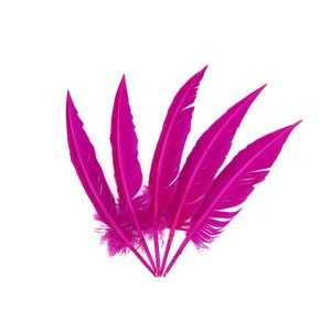 May include: A collection of five vibrant magenta feathers arranged in a fan shape against a white background. The feathers have a soft, fluffy base and long, pointed tips. These decorative feathers are ideal for craft projects.