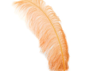 X-Large Ostrich Feathers 24-30", 1 to 25 Pieces, CINNAMON Spice, For Wedding Centerpieces, Party Decor, Millinery, Carnival, Costume ZUCKER®