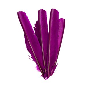 Very Berry Cut Turkey Pointers 8-12&quot; Dyed 6pcs,Turkey Pointer Quills for Costume, Carnival, Halloween, Cosplay and DIY Arts & Crafts ZUCKER®