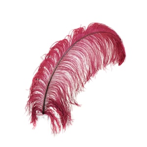 X-Large Ostrich Feathers 24-30&quot;, 1 to 25 Pieces, BURGUNDY, For Wedding Centerpieces, Party Decor, Millinery, Carnival, Costume ZUCKER®