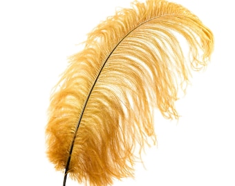 Large Ostrich Feathers 17-25", 1 to 25 Pieces, Toasted Almond Prime Femina Ostrich Wing Feathers, Wedding Centerpieces, Carnival ZUCKER®