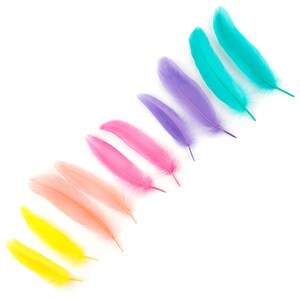 Goose Satinette Feathers, 4-6&quot; Cake Mix Loose Goose Feathers, Assorted Pastel Feathers, Small Feathers, Art and Craft Supplies ZUCKER®