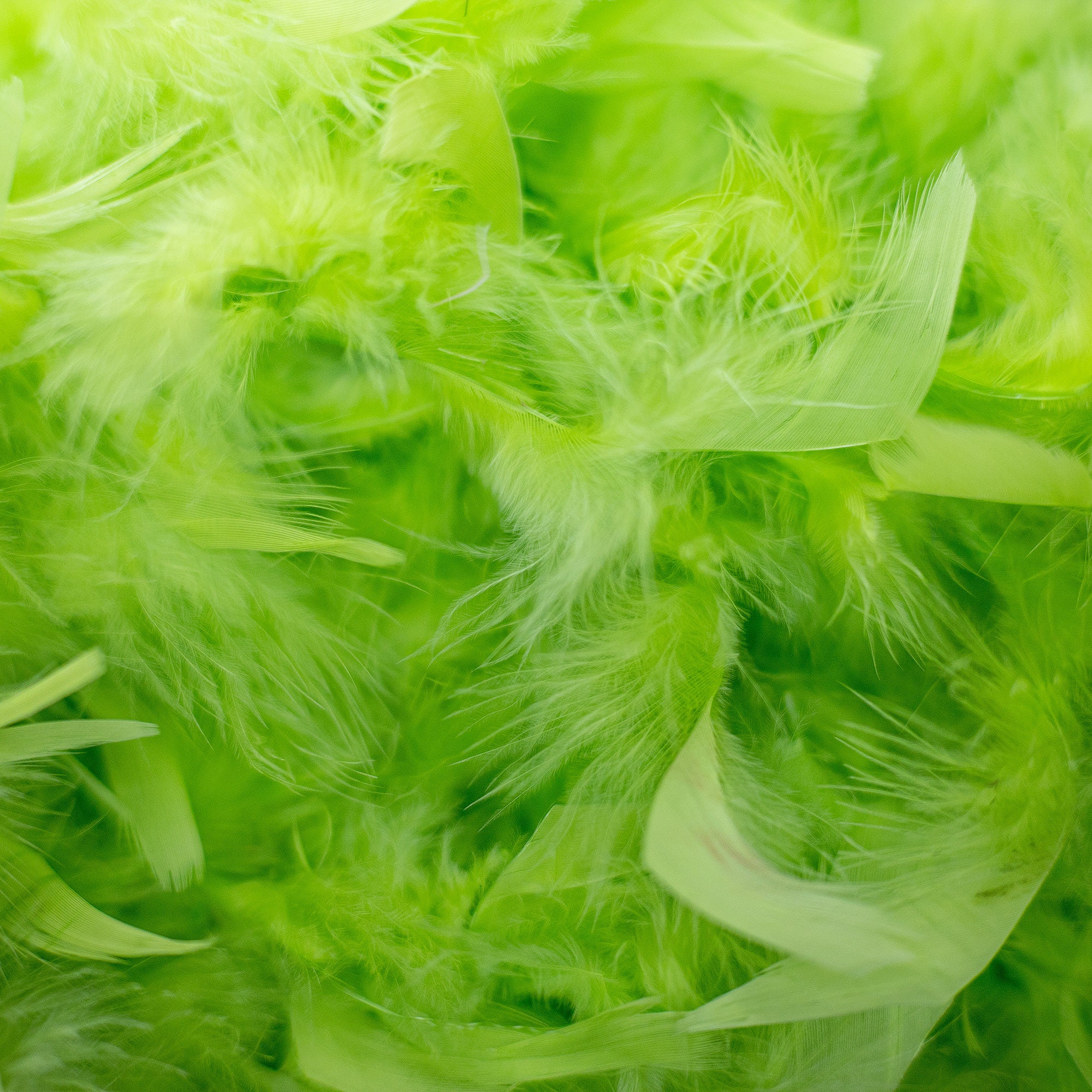 Zucker Chandelle Feather Boa - Lightweight - Forest Green