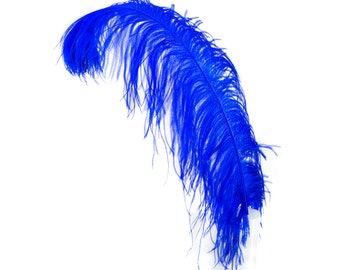 X-Large Ostrich Feathers 24-30", 1 to 25 Pieces, ROYAL Blue, For Wedding Centerpieces, Party Decor, Millinery, Carnival, Costume ZUCKER®