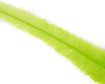 Ostrich Nandu Feathers, Lime Ostrich Feather Nandus 13-24", Wholesale Carnival & Costume Feathers ZUCKER®