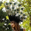 Natural 3 in 1 Majestic Peacock Collar, Headdress or Bustle For Halloween, Masquerade & Costume Balls ZUCKER® Feather Place Original Designs product logo
