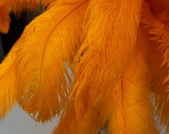 Ostrich Feathers 17-20" MANGO, 1 to 25 pcs, Ostrich Plumes, Carnival Samba, Ostrich Drab, Mardi Gras, Centerpieces, Feather Fan ZUCKER® USA