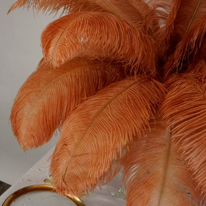 Large Ostrich Feathers 17-25&quot;, 1 to 25 Pieces, CINNAMON Peach Prime Femina Ostrich Wing Feathers, WeddingCenterpieces, Carnival ZUCKER®