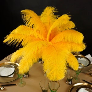 Ostrich Feathers 13-16&quot; GOLD - For Feather Centerpieces, Party Decor, Millinery, Carnival, Fashion & Costume ZUCKER®