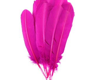 Berry Dyed Turkey Quill Feathers, Bulk Turkey Quills 8-12” for Cosplay, Carnival, Costume, Millinery, Dream Catchers, Art & Craft ZUCKER®