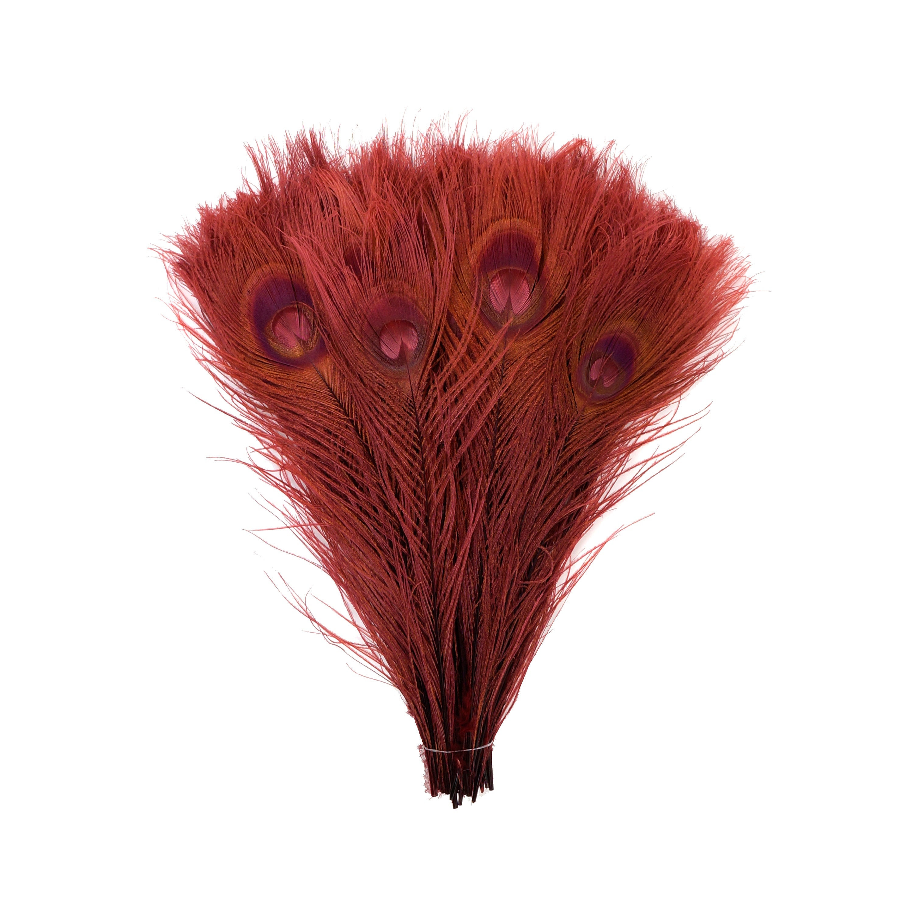 Peacock Feathers, 5 to 100 Pieces, BURGUNDY Dyed Tails 8 to 15 inches
