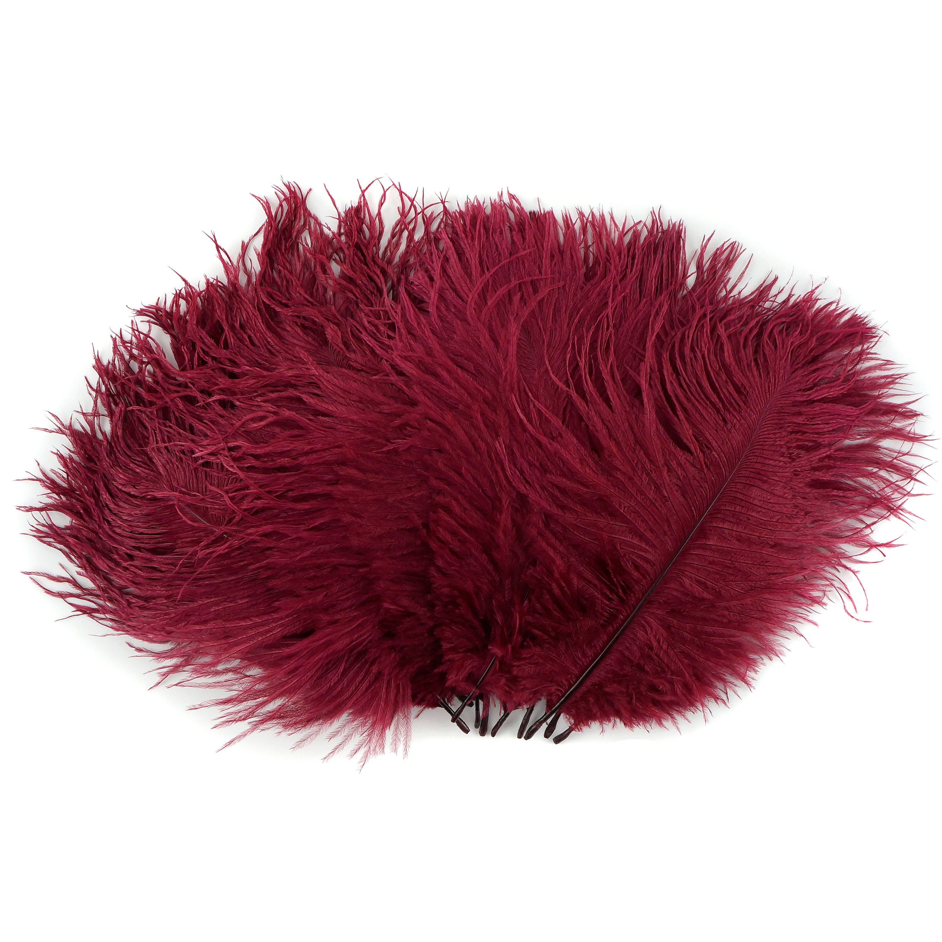 Bulk Ostrich Feathers 48 BURGUNDY, Mini Ostrich Drabs, Bouquets