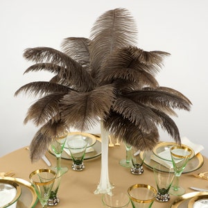 Ostrich Feathers 13-16&quot; NATURAL Undyed - For Feather Centerpieces, Party Decor, Millinery, Carnival, Fashion & Costume ZUCKER®