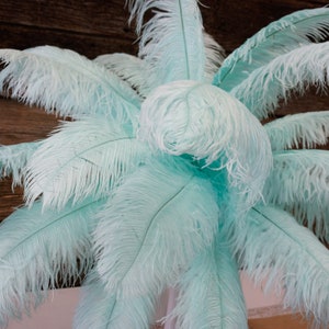 Ostrich Feathers 17-20" MINT, 1 to 25 pcs, Ostrich Plumes, Carnival Samba, Ostrich Drab, Mardi Gras, Centerpieces, Feather Fan, ZUCKER® USA