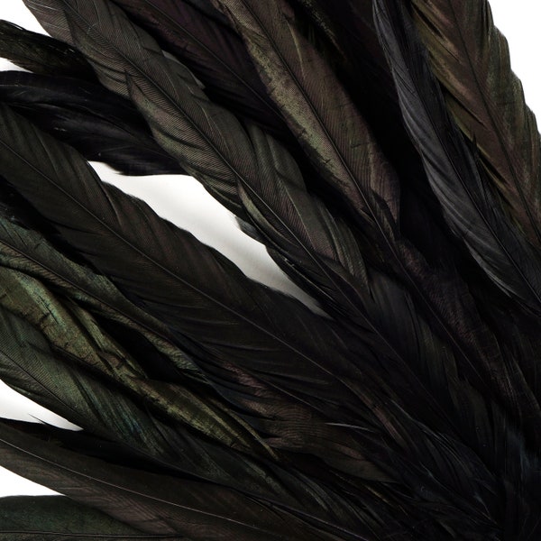 10- 12" Rooster Coque Tail Feathers, Black Iridescent Dyed Rooster Feathers, Long Rooster Feathers 25 pieces Jewelry & Art Supply ZUCKER®