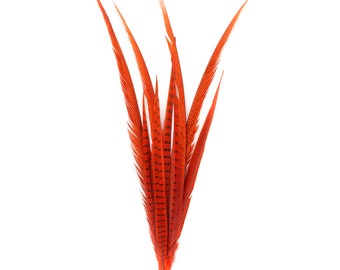 Long Orange Pheasant Feathers, 16-30 inch Bleach Dyed Ringneck & Golden Assorted Pheasant Tail Feathers 10 Pieces