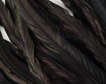 12-14"Rooster Coque Tail Feathers, Black Iridescent Dyed Rooster Feathers, Long Rooster Feathers 25 pieces Jewelry & Art Supply ZUCKER®