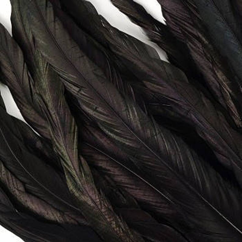 1214Rooster Coque Tail Feathers Black Iridescent Dyed Etsy