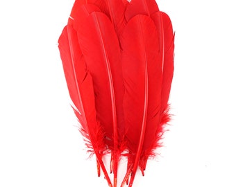 Red Dyed Turkey Quill Feathers, Bulk Turkey Quills 8-12” for Cosplay, Carnival, Costume, Millinery, Dream Catchers, Arts & Crafts ZUCKER®