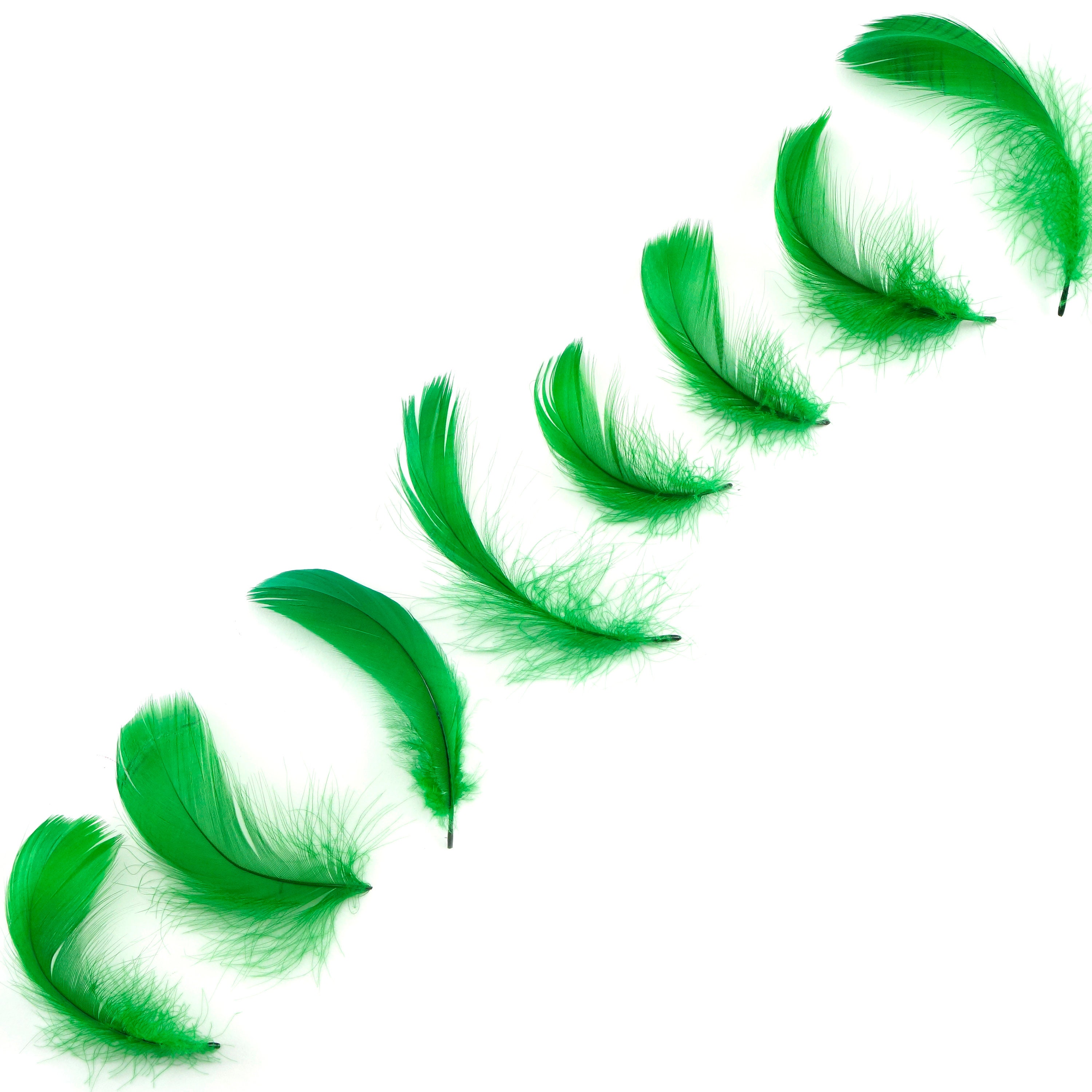 Green Feathers, 1 Pack - Lime Green Goose Satinettes loose feathers 0.3 oz.  : 155