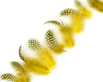 Guinea Feathers, Dyed Yellow 1-4” Guinea Hen Polka Dot Loose Plumage Feathers & Craft Supply ZUCKER®