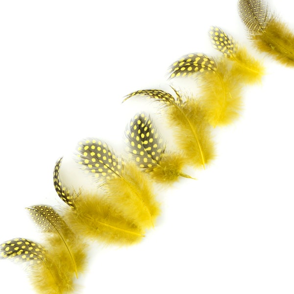 Guinea Feathers, Dyed Yellow 1-4” Guinea Hen Polka Dot Loose Plumage Feathers & Craft Supply ZUCKER®