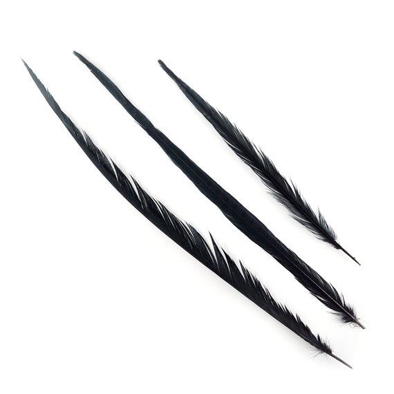 Long Black Pheasant Feathers, 16-30 Inch Bleach Dyed Ringneck