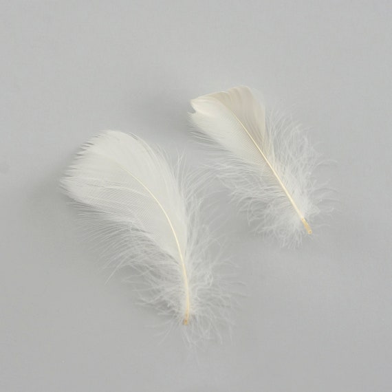 White Goose Coquille Craft Feathers - Mini Pkg