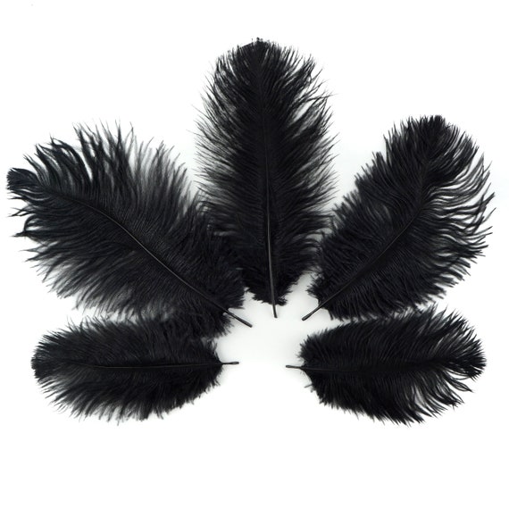 Small 2024 ostrich feathers