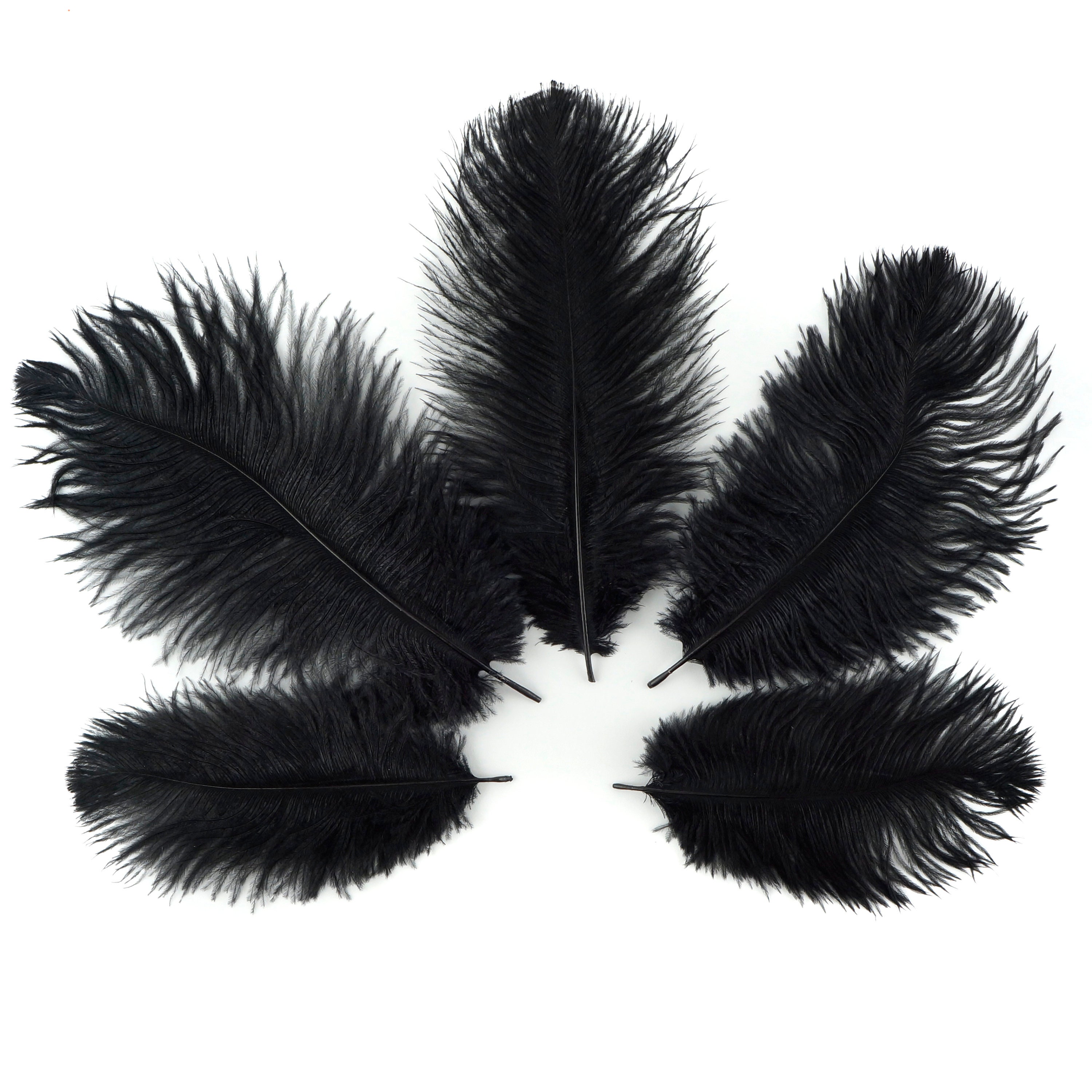 Black Ostrich Feathers, 10 Pieces, 6-8 Inches, Fall Halloween