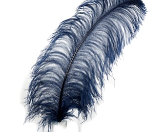May include: A single, large, navy blue feather against a white backdrop. The feather has a dark, central quill and soft, flowing barbs. The feather's texture is detailed, with a slight curve, suggesting a decorative or craft item.