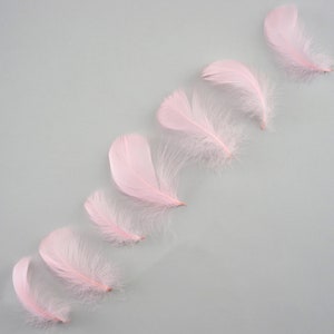 Goose Coquille Feathers, 3-5&quot; Candy Pink Loose Goose Feathers, Small Feathers, Arts and Craft Supplies ZUCKER®