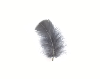 Turkey Feathers, Blue Dunn Loose Turkey Plumage Feathers, Short T-Base Body Feathers for Craft and Fly Fishing Supply ZUCKER®
