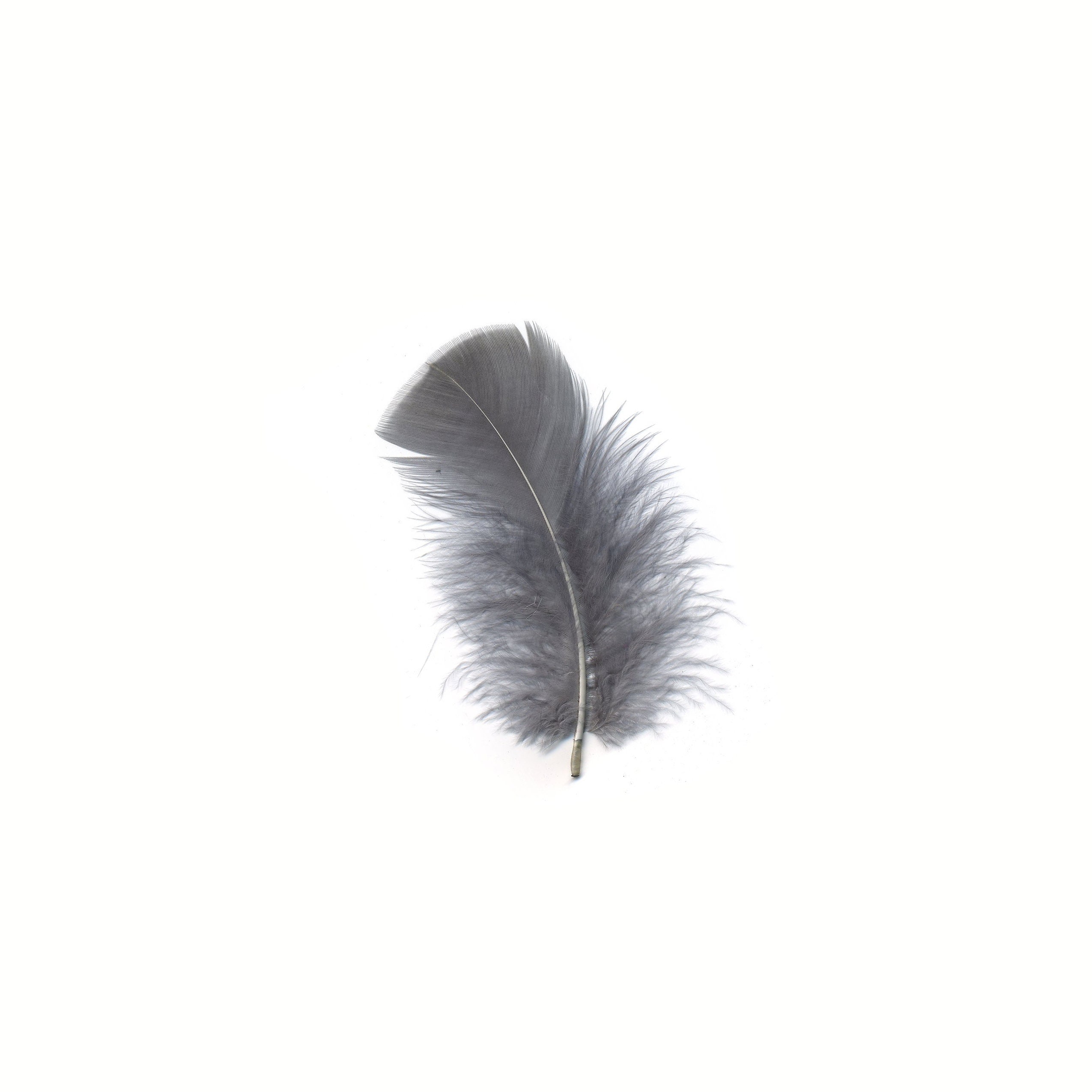 50pcs Feathers,turkey Feathers,white Feathers,fluffy Feathers,bulk,natural  Feathers,wholesale Feathers 13cm 18cm Long 