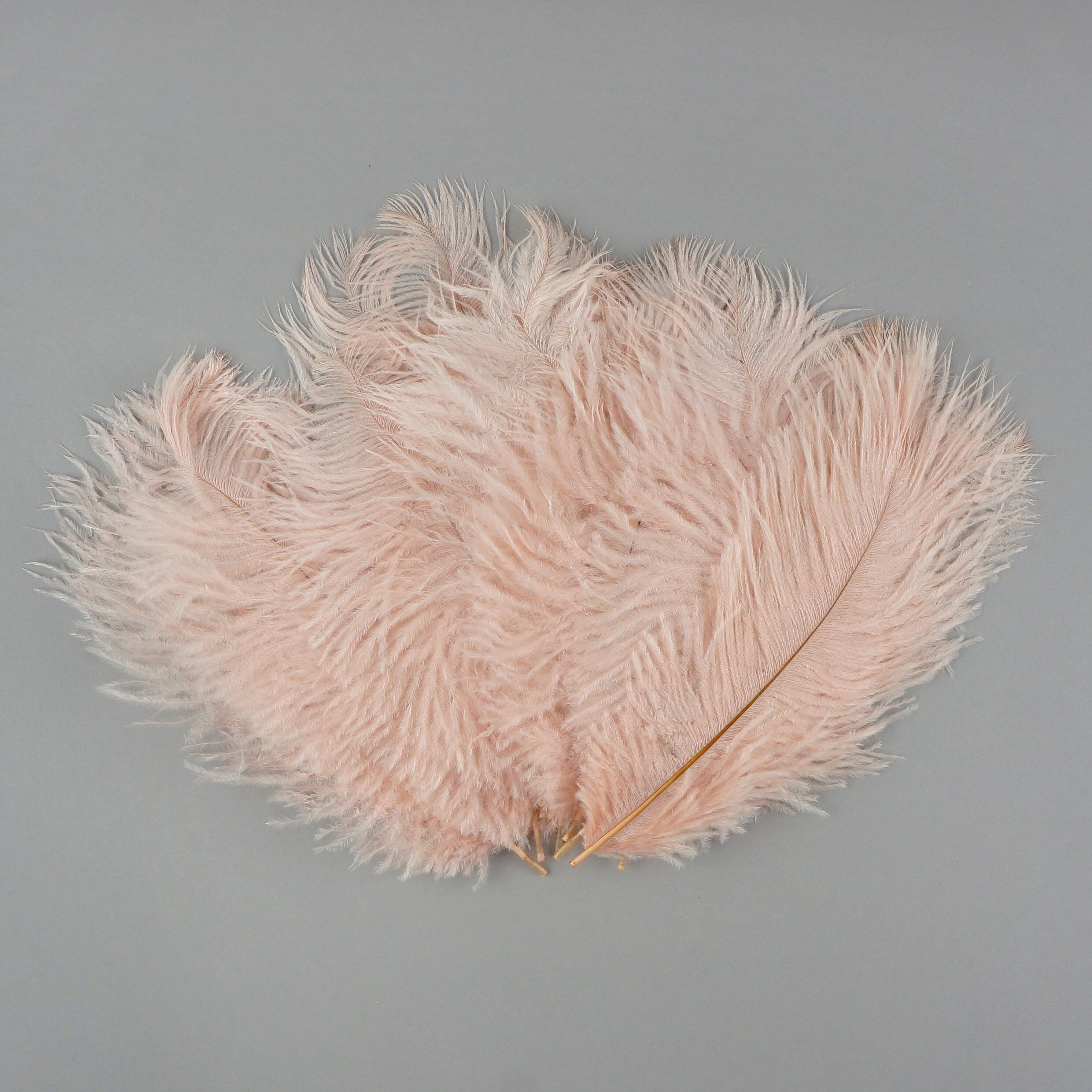 Bulk Ostrich Feathers 48 Pink CHAMPAGNE Blush Mini Etsy