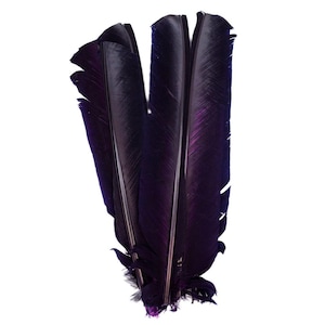 Navy Cut Turkey Pointers 8-12&quot; Dyed 6pcs, Turkey Pointer Quills for Costume, Carnival, Halloween, Cosplay and DIY Arts & Crafts ZUCKER®