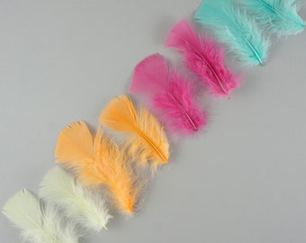 Turkey Feathers, Melon Mix Loose Turkey Plumage Feathers, Short T-Base Body Feathers for Craft and Fly Fishing Supply ZUCKER®