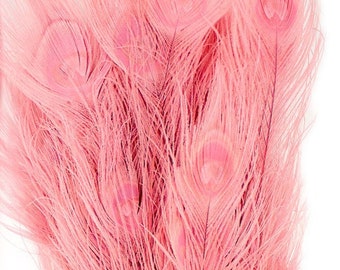 Peacock Feathers, Candy Pink Bleached Dyed Peacock Feathers, Pink Peacock Feathers ZUCKER® 100 pieces