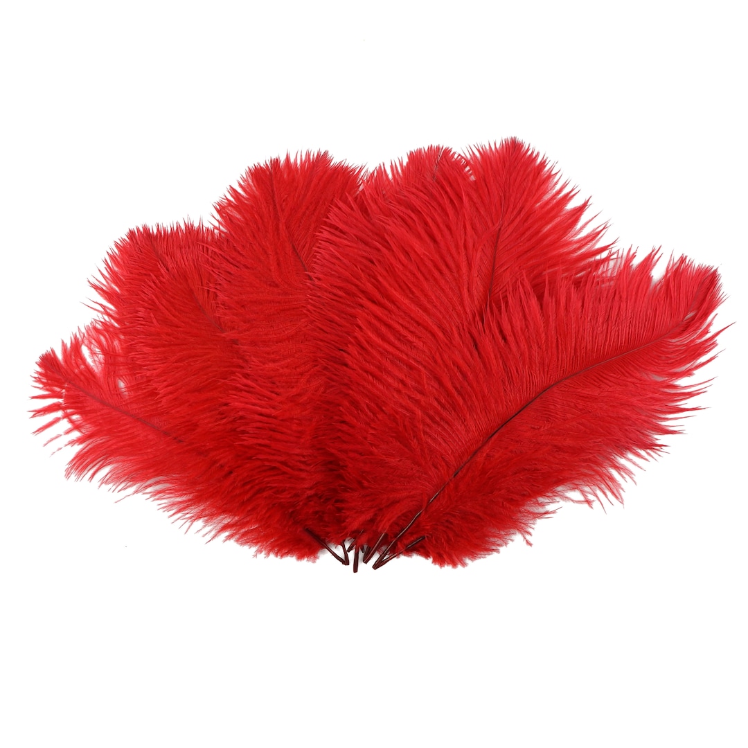 Ostrich Feathers 9-12 RED Ostrich Drabs Centerpiece - Etsy