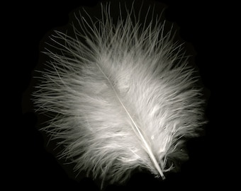 Turkey Feathers, White Loose Turkey Marabou Feathers, Short and Soft Fluffy Down, Craft and Fly Fishing Supply Feathers ZUCKER®